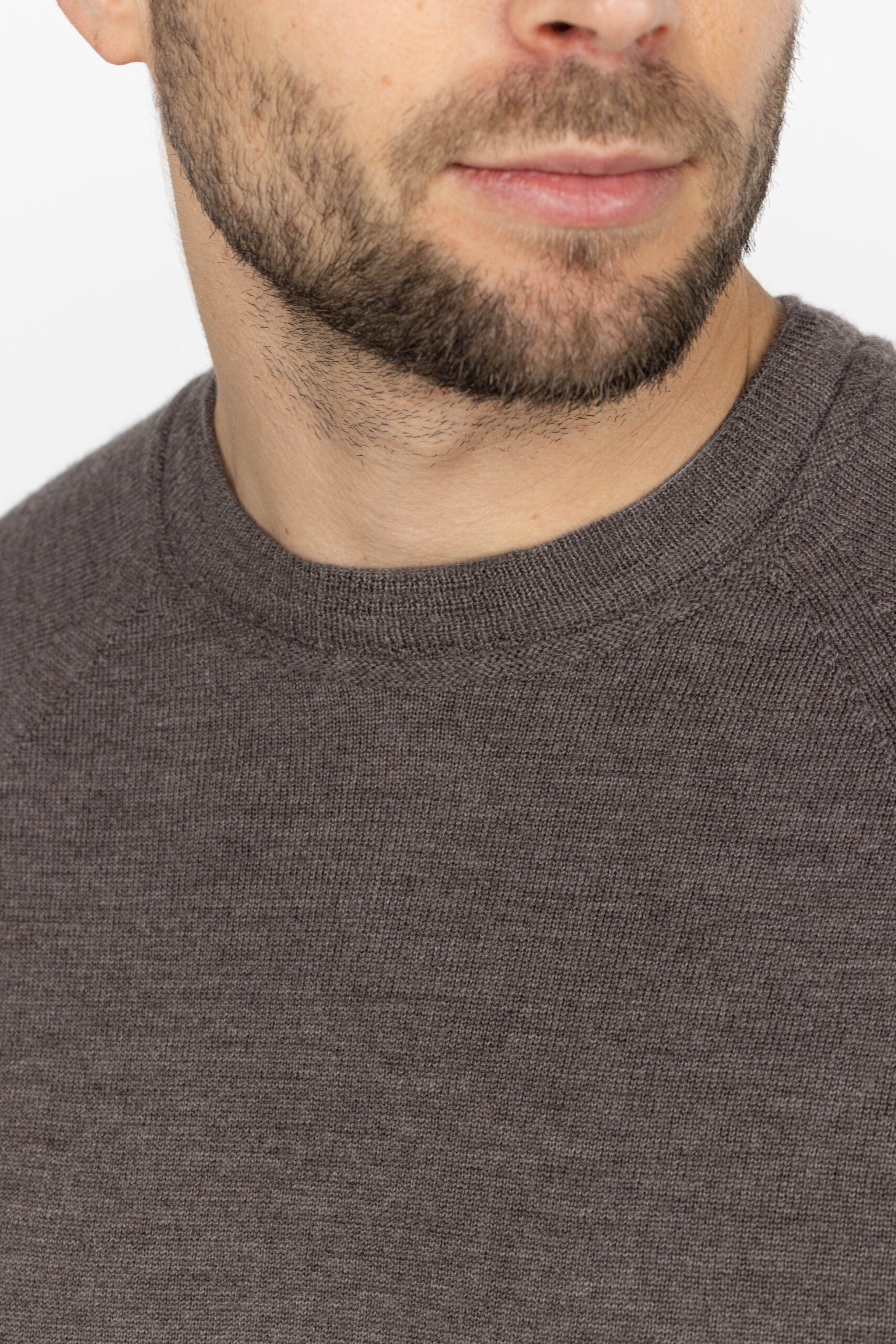 Heren trui van merinowol met ronde hals - Taupe
